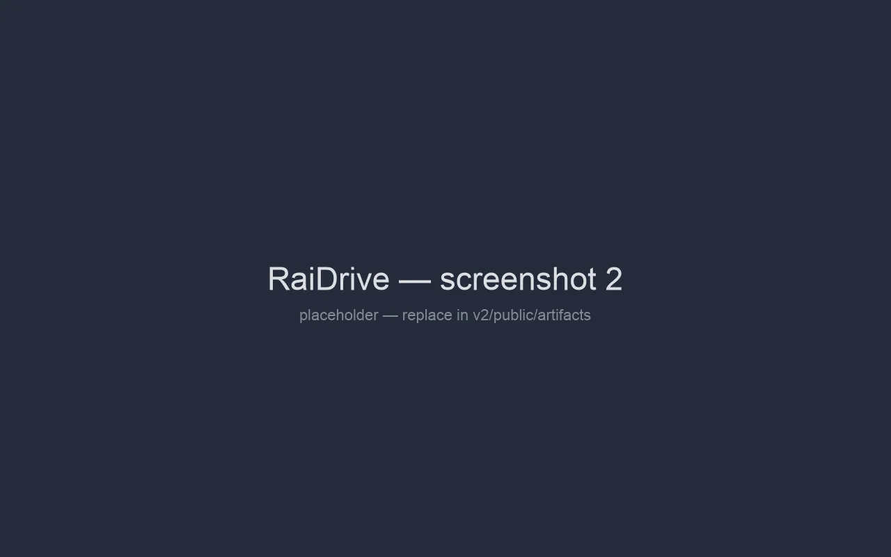 RaiDrive settings